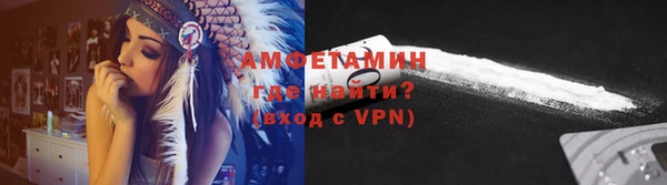 шишки Балабаново