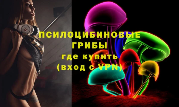 шишки Балабаново